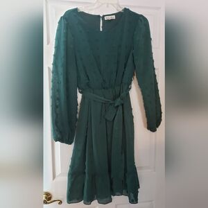 Indigo Rose size M dress in green